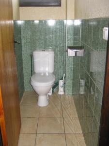 een badkamer met een toilet en een glazen douche bij CHALET LES EPILOBES in Lamoura