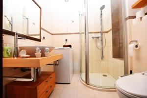 a bathroom with a shower and a toilet and a sink at City Central Apartments Wrocław in Wrocław