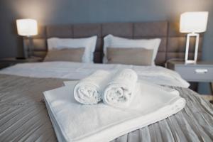 斯勒尼克的住宿－Hotel Roberto Slanic Prahova，床上的两条毛巾