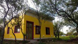 ein gelbes Haus mit einer roten Tür und einigen Bäumen in der Unterkunft apartamento VINTAGE LU in Merlo