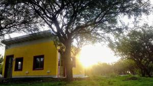 ein gelbes Haus mit einem Baum daneben. in der Unterkunft apartamento VINTAGE LU in Merlo + 13 Fotos