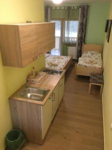 a kitchen with a sink and two beds in a room at Ranch Marina in Koče