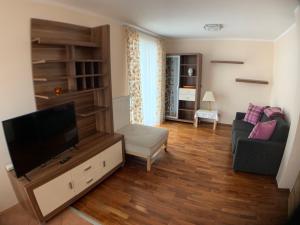 een woonkamer met een flatscreen-tv en een bank bij Appartementhaus Riepler in Bad Gastein
