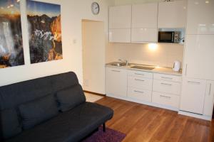 ein Wohnzimmer mit einem Sofa und einer Küche in der Unterkunft Apartament Kasztanowy Centrum in Zakopane