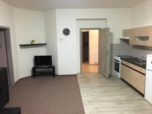 Kuchyň nebo kuchyňský kout v ubytování Apartmány U Muzea