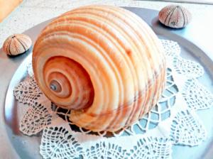 an orange shell sitting on top of a cake at Odysseion Apartments in Vathi
