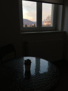 Fotografie z fotogalerie ubytování Apartmány U Muzea v destinaci Děčín