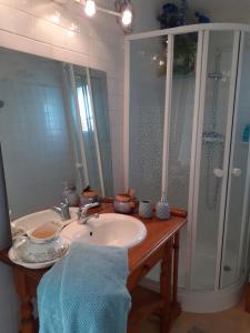 a bathroom with a sink and a shower at La Bergerie in Lagarrigue