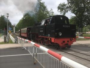 a black train traveling down the tracks next to a street at Meine Fischerhütte in Börgerende-Rethwisch