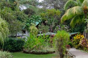 un jardín frente a una casa con árboles en Hotel Entre Dos Aguas en Sámara