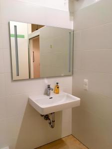 La salle de bains est pourvue d'un lavabo blanc et d'un miroir. dans l'établissement Apartments near Augarten, à Vienne