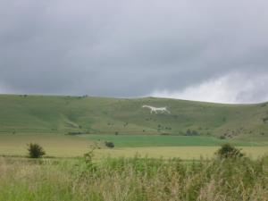 a white horse running across a green field at Calne Bed and Breakfast in Calne