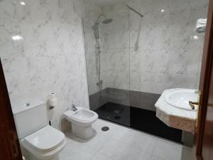 y baño con aseo, ducha y lavamanos. en Hotel San Jacobo, en Santiago de Compostela