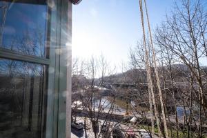 Príroda v okolí apartmánu