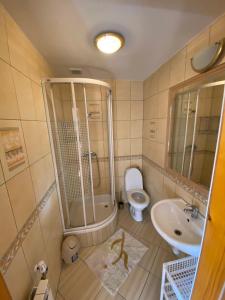 Łazienka w obiekcie Apartamenty pokoje Nad Potokiem