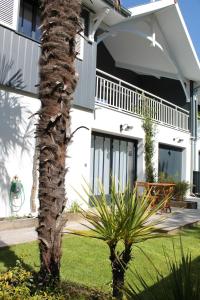 a palm tree in front of a house at MAGNIFIQUES APPTS à 1 MINUTE DE LA PLAGE in Andernos-les-Bains