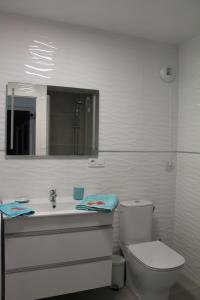 a bathroom with a toilet and a sink and a mirror at MAGNIFIQUES APPTS à côté DE LA PLAGE in Andernos-les-Bains