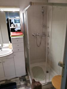 ein Bad mit einer Dusche und einem Waschbecken in der Unterkunft Apartment Regina in Laucha