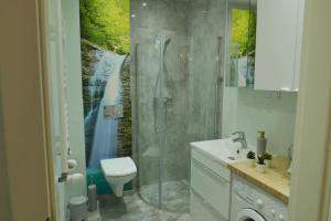 een badkamer met een douche, een toilet en een wastafel bij Apartament Soft 16 in Biała Podlaska