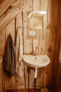 a bathroom with a sink and a mirror at Sunny Nights Homestead Rustic House in Gataučiai