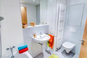 uma casa de banho branca com um lavatório e um WC em Apartman Medvědín 307 em Spindleruv Mlyn