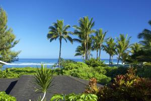 a view of a beach with palm trees and the ocean at Haena Kai home in Haena