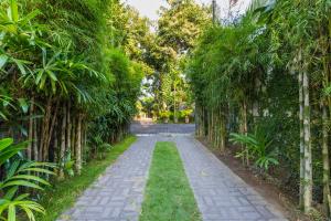 Zahrada ubytování Mango Tree Villas Jimbaran Bali