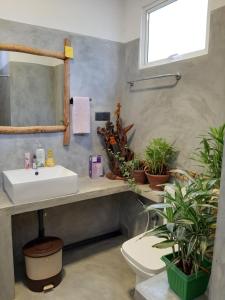 a bathroom with a sink and a mirror and plants at Dhanudi Homestay in Ella +161 photos