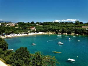 un gruppo di imbarcazioni in un grande bacino idrico di VILLAMAR beachfront apartments with FREE private parking a Rabac