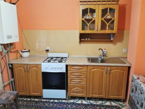 a kitchen with a stove and a sink at Cottage 5 in Karpaty