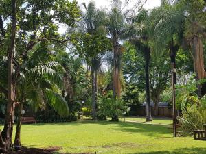 a park with palm trees and a bench and grass at Lion's Guesthouse and The Buck&Lion Restaurant in Groblersdal