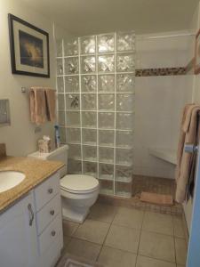 a bathroom with a toilet and a glass walled shower at Maalaea Kai 316 condo in Kihei
