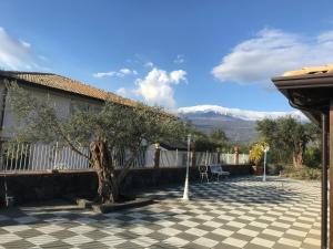 un patio con un árbol y un suelo a cuadros en Agriturismo Borgo San Biagio, en Calatabiano