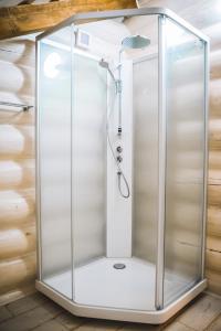 a shower with a glass enclosure in a bathroom at Tatova Hata in Yablunytsya