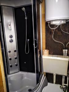 布加勒斯特的住宿－Two Rooms Rustic House - Self Check-In，带淋浴和卫生间的小浴室