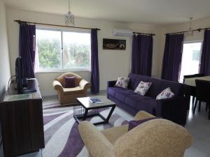 - un salon avec un canapé et une télévision dans l'établissement Ertunalp Apartment, à Famagouste