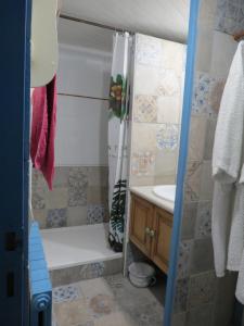 a bathroom with a shower and a tub and a sink at Le Chant Des Fees in Notre-Dame-de-Courson