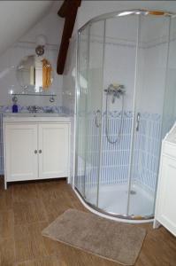 ein Bad mit einer Dusche, einem Spiegel und einem Waschbecken in der Unterkunft Auszeit-Landleben Domizil in Sallgast
