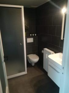 een badkamer met een toilet, een wastafel en een douche bij BC Studios in Blankenberge