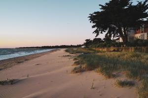 a sandy beach with a tree and a house at Le Phare in Les Portes