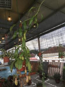 Fotografie z fotogalerie ubytování Anderson Hotel v destinaci Ipoh