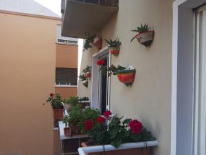 Fotografie z fotogalerie ubytování La Casa de La Abuela Rosy v Malaze