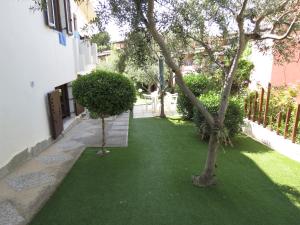アルバタックスにあるBaia di Portu Frailisの緑草と木のある庭
