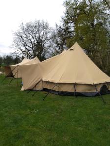 Deux grandes tentes assises dans un champ d'herbe dans l'établissement Tent-Ok Meppen, à Meppen