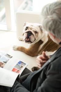 a dog sitting on a table next to a woman at INNSiDE by Meliá Milano Torre GalFa in Milan