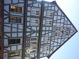 a black and white building with many windows at Hotel Blaues Haus in Otterberg