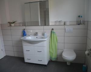 a bathroom with a sink and a toilet and a mirror at Appartements AM ROSENGARTEN in Celle