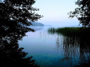 Fotografia z galérie ubytovania River House v destinácii Kościerzyna