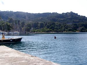 łodzi siedzącej na wodzie obok brzegu w obiekcie Apartments Nodilo w mieście Polače
