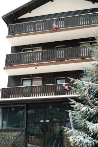 a building with a christmas tree in front of it at Pensiunea Noni in Azuga